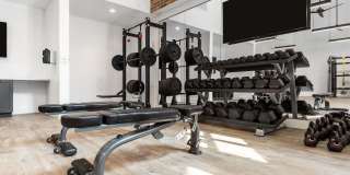 Troubadour Gallery 116