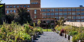 Halstead Providence Gallery 32