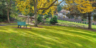 Murrayhill Park Gallery 36
