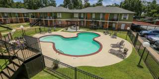 Spring Pine Gallery 2