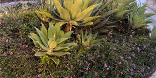 1433 S Beverly Drive Gallery 42