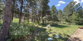 2247 Conservatory Pt Gallery 16