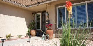 7176 Hillcroft Way Gallery 41