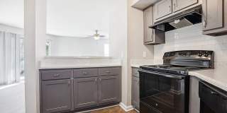 The Park at Midtown Gallery 20