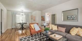 319 Mink Gallery 3