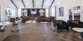 Waterleaf at Cold Springs Gallery 5