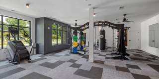 Gladwen Wendell Falls Gallery 14