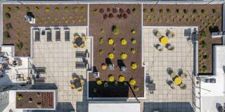 The Square Gallery 9