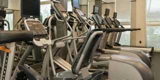 Congress Grove Gallery 17