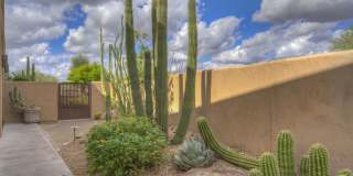 9535 E RAINDANCE Trail Gallery 30