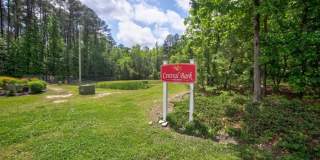 Autumn View Gallery 20