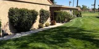41 Sunrise Drive Gallery 28