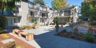 Solana Apartments Gallery 3