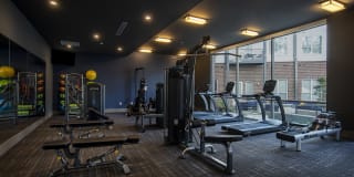 Avenue Madison Gallery 46