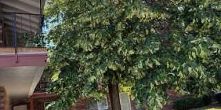 Canyon View Gallery 1