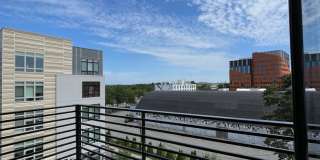 1Bed/1Bath apartment in Brighton Gallery 8