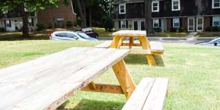 Mordecai On Clover Gallery 5