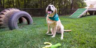 River Bluff of Lexington Gallery 33