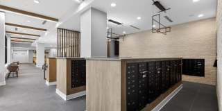 RISE Doro Gallery 10