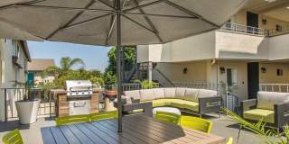 Golden Pacific Gallery 13