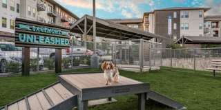 Sagemont Luxury Living Gallery 108