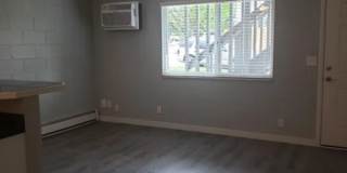 2229 Collyer Street Gallery 5