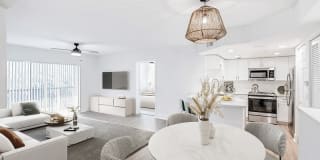 Palm Trace Landings Gallery 41