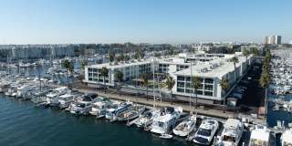 Dolphin Marina Gallery 4