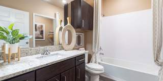 Clear Springs Gallery 12