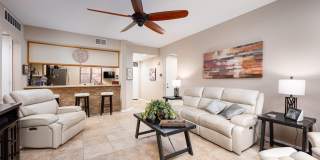 28914 Desert Princess Drive Gallery 8