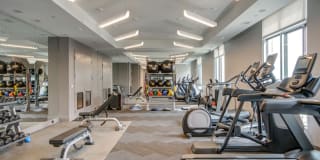 Harlow Navy Yard Gallery 19