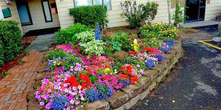 Creekside Terrace Gallery 1