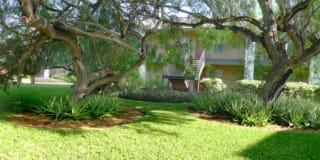 Peppertree Apartments Gallery 8