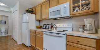 The Orchard Gallery 11