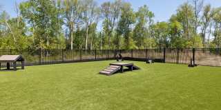 Hawthorne at Pine Forest Gallery 31