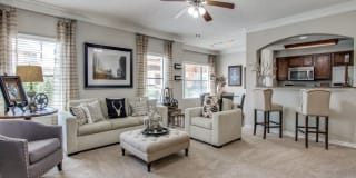 San Montego Gallery 13