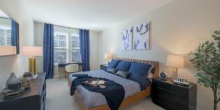 333 North Broad Gallery 11