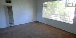 Upstairs Apartment Near the Center of Town Gallery 5