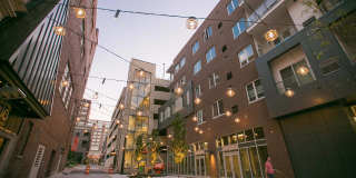 The Standard Gallery 6