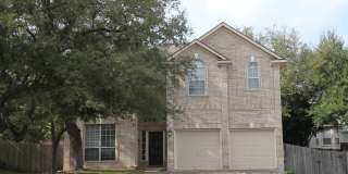 2616 Tree Crown Gallery 1
