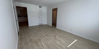 Andrew Gallery 11