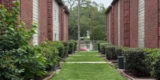 Hutchins Palms Gallery 1