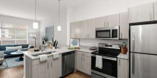 Novi at Concord Gallery 1