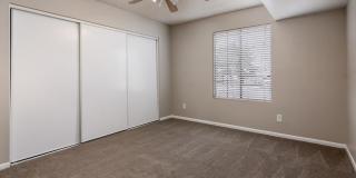 Rise on Cactus Gallery 107