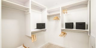 Deca Camperdown Gallery 5