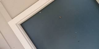 Stonebridge Apartments Gallery 1