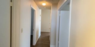 3927 Broken Oak Lane Gallery 10