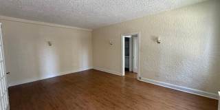 Bayard Manor Gallery 60