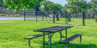 Summer Ridge Apartments Gallery 16