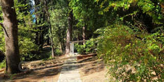 20 Turpentine Drive Gallery 10